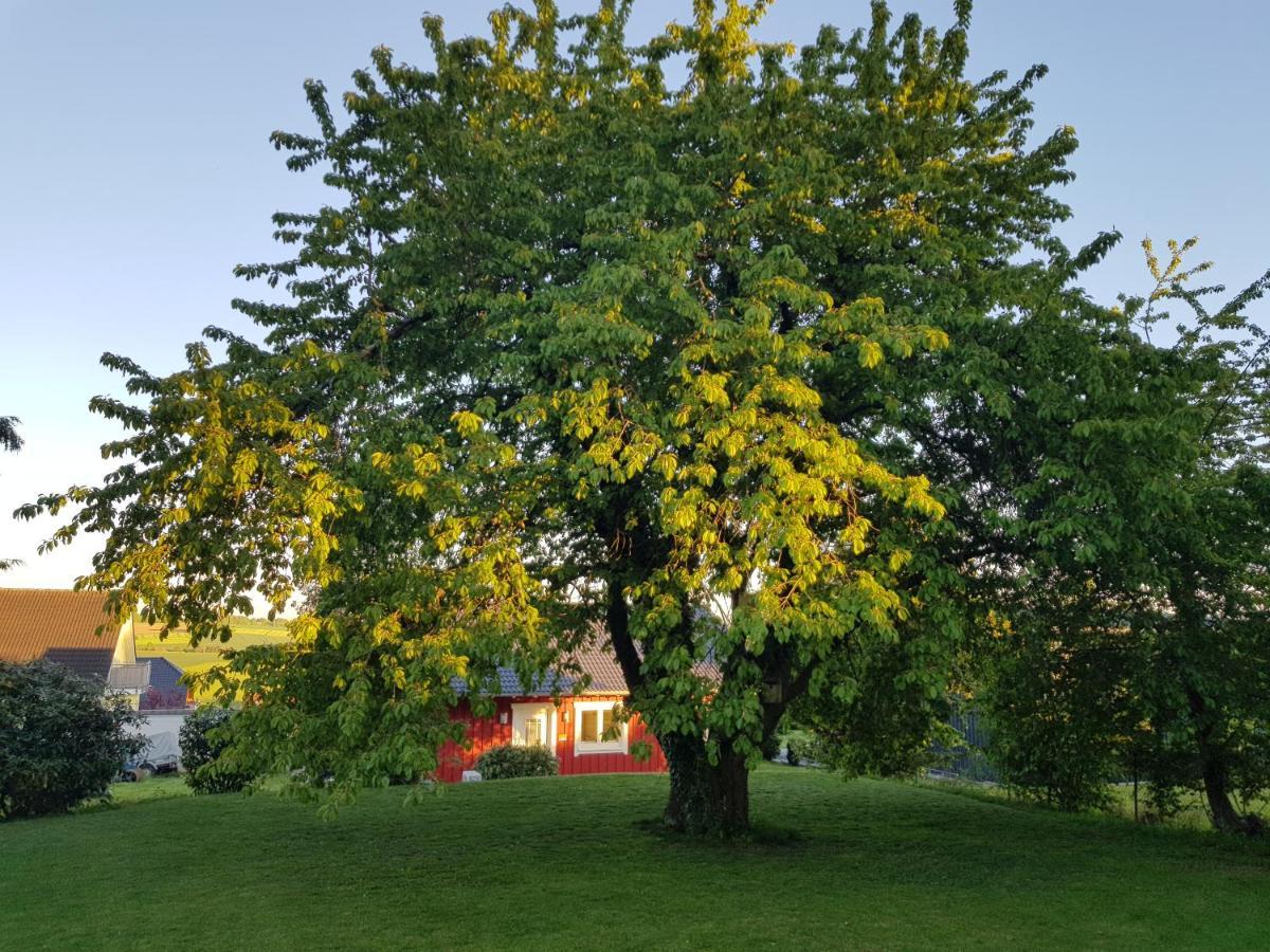 Ferienhaus Loeh Kleinmaischeid Zewnętrze zdjęcie