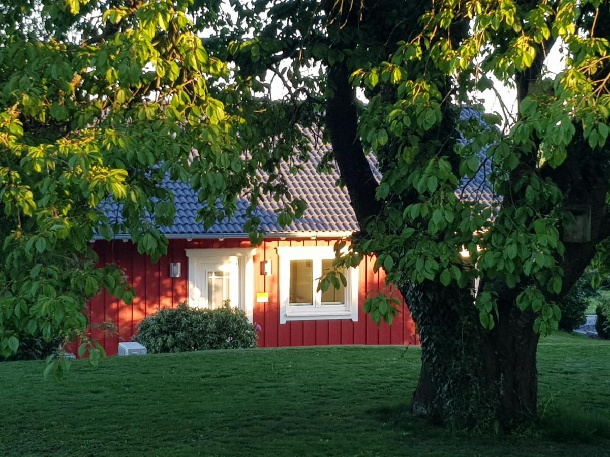 Ferienhaus Loeh Kleinmaischeid Zewnętrze zdjęcie